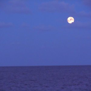Media 'Full moon over Lake Erie.' in album '(Valkyrie) Getting on plane.
Photo by Salty Dog.'