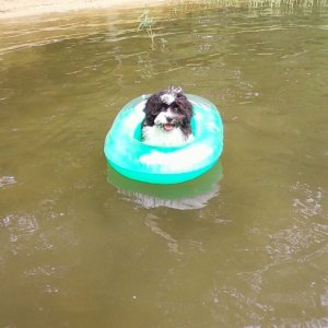 Captain of his own boat.