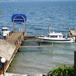 Media 'Goose Watch Winery dock' in album 'Goose Watch Winery dock'