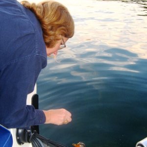 Media 'Feeding ducks on mooring ball outside of Ithaca, NY' in album 'Goose Watch Winery dock'