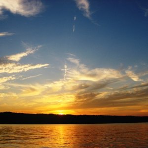 Media '' in album 'Goose Watch Winery dock'