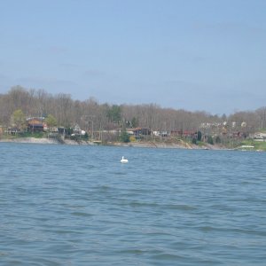 Homes on Kentucky Lake shoreline