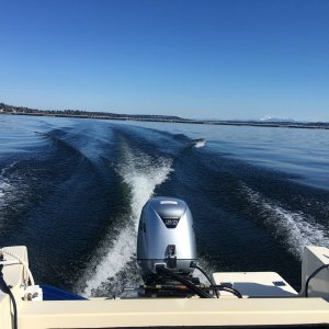 Heading south of the 520 bridge