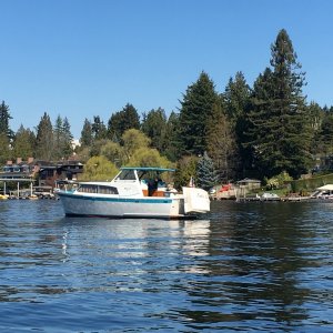 Spend the afternoon just drifting around in Cozy Cove, enjoying the sun. This old Tolly was doing the same.