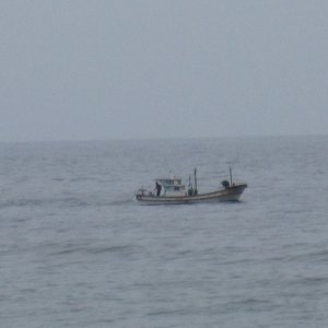 net fishing