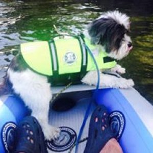 Baxter in PFD