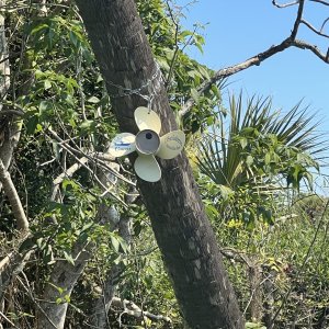 Media 'Prop Birdhouse up close' in album '053HontoonLoopTour'