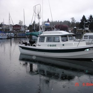 C-DAISY (Karl & Amy)