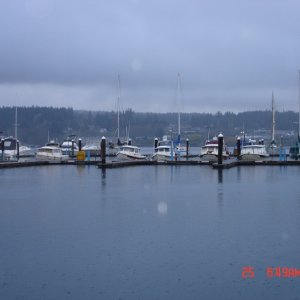 C-Dorys at Poulsbo