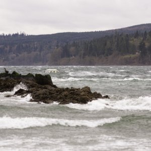 On the way to Poulsbo.  Oak Bay.  Photo by Debra Colvin.