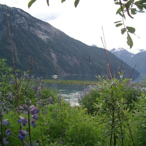Media 'Price Cove' in album 'Price Cove'