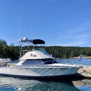 Friday Harbor