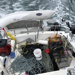 Shrimping 2019.  Going Ladner pots in 2021