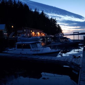 Arrived at Telegraph Cove