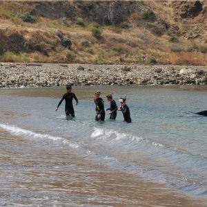 dont go in the water!