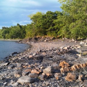 61.) Burton Island shore