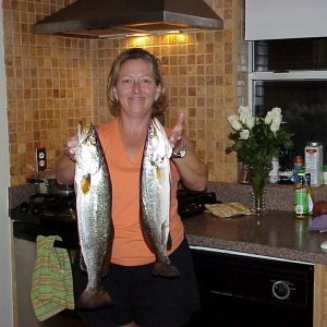 What we could easily catch in October !Speckled Trout !