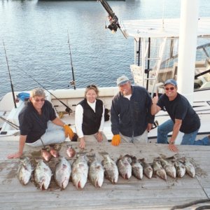 Offshore possibilities Gag Grouper and Mangrove Snapper