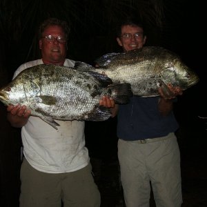 Triple tail from Apalachicola Bay 9/30/06