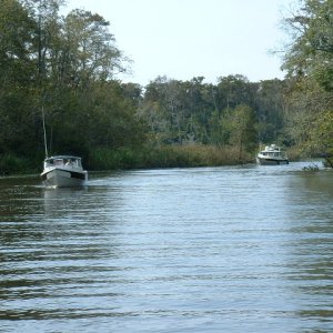 C-Byrd and C-Pearl bringing up the rear.