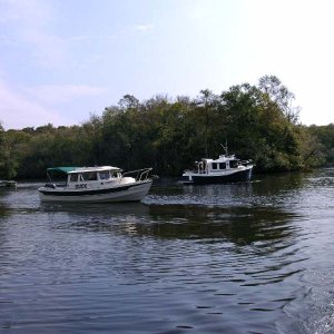Media 'C-Ranger being Circled by the Duck' in album 'Johns House'