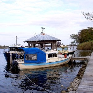 Papillon at Dock