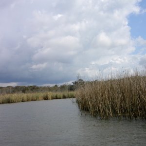 Media 'lookin for gators' in album 'Johns House'