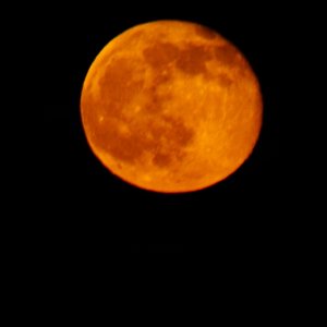 Harvest Moon Over Apalach seen from Riverfront Park