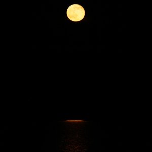 Apalach Moon reflected in the water. Zoom in to see the beautiful reflection