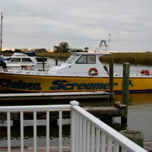Chelsea Screamer: Brought down from New York City Harbor enroute to Biloxi, this 50 passenger, 55 ft, 1600 HP excursion boat rolled in next to us just before dark. When she left the next morning we could hear her slow for the RR bridge near John Bones house 5 miles away. What a ride............