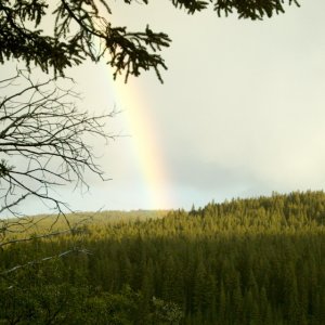 (gljjr)