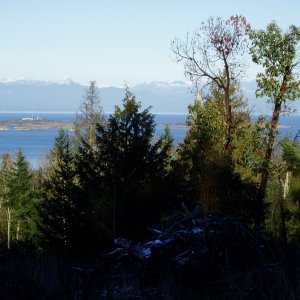 (DaveMar) Winchelsea Island, Control Headquarters for Whiskey Golf  (WG)