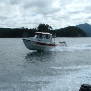 (DaveMar) Going Halie Hunting