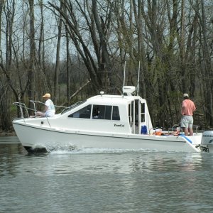 Media '(Fishtales)' in album '(Fishtales)'