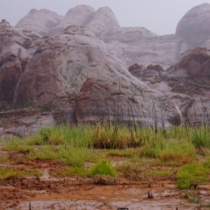 Wet Rocks Oak Canyon