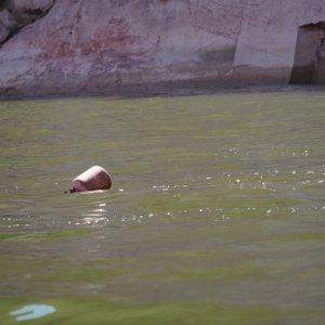 Debris in San Juan