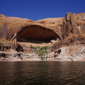 Arch