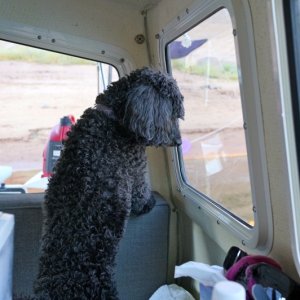 Still looking for fish