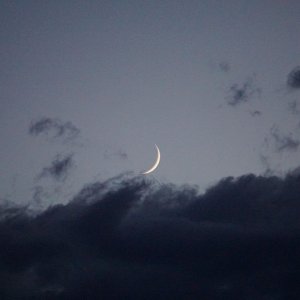 New Moon