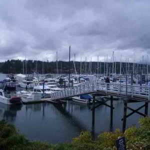 20070325 - 14 Poulsbo C-Dory Gathering - Port Ludlow Marina