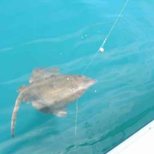 20070623 - 05 Newport Fishing
