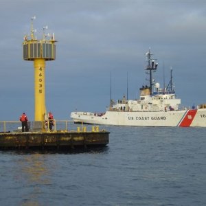 46035
