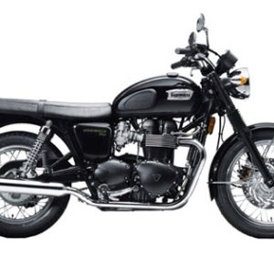 Media '022310-triumph-bonneville-t100-black' in album 'IMG 1333'