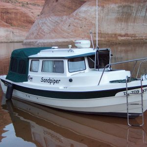 Sand Piper in Oak Canyon Sunday morning 9/25/11