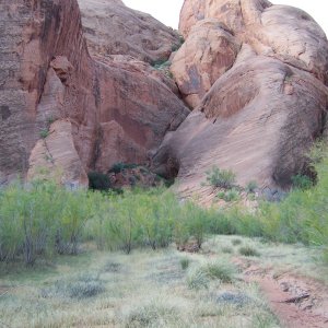 Oak Canyon near where we beached