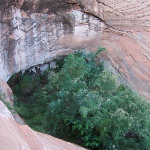 Oak Canyon near where we beached