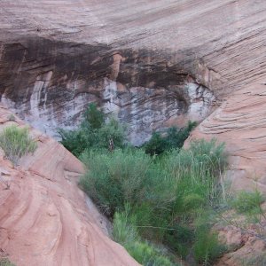 Oak Canyon near where we beached