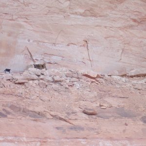 Restored ruins in Escalante River Arm