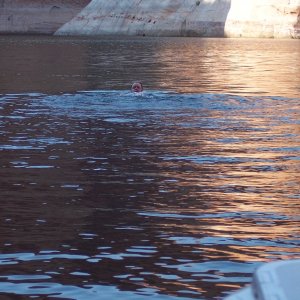 Media 'Bill swimming at Explorer Canyon' in album 'Lake Canyon Draperies'