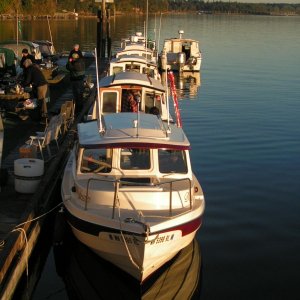 (Pat Anderson) Saturday Morning at the Dock, Another Shot